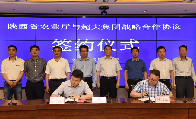 超大 超大現代農業 超大現代農業集團