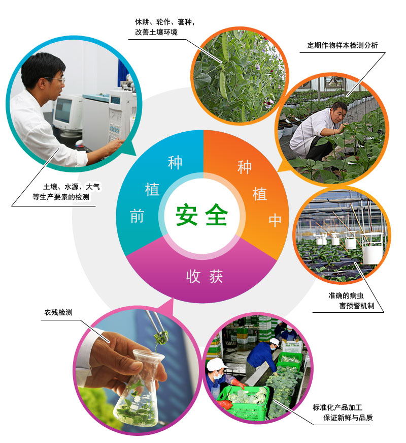 圖片關鍵詞