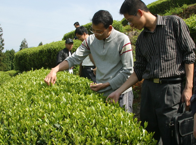 超大 超大現代農業 超大現代農業集團