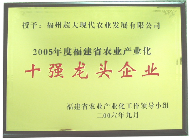 超大 超大現代農業 超大現代農業集團