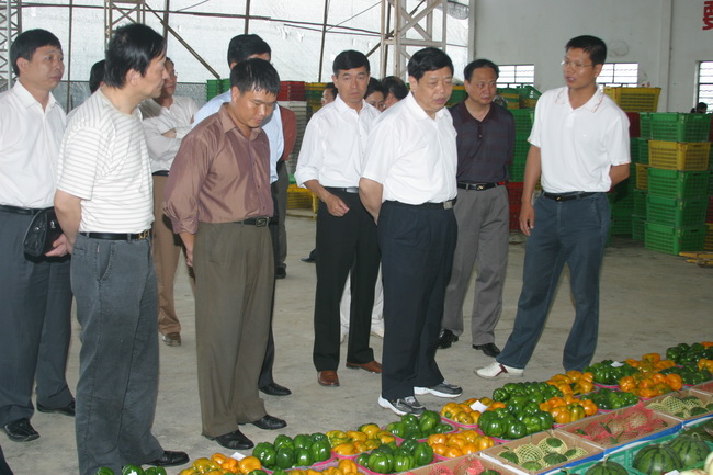 超大 超大現(xiàn)代農(nóng)業(yè) 超大現(xiàn)代農(nóng)業(yè)集團