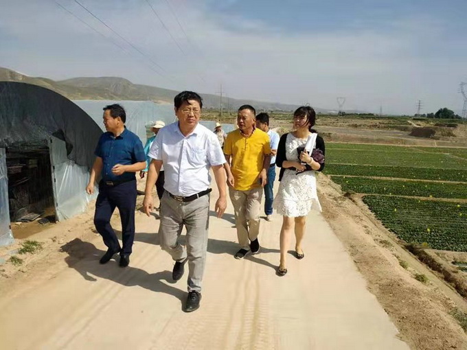 超大 超大現代農業 超大現代農業集團 超大 超大現代農業 超大現代農業集團