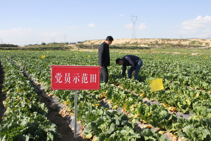 超大 超大現代農業 超大現代農業集團